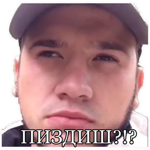 Sticker MCPANINI - 1