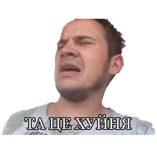 Sticker MCPANINI - 1