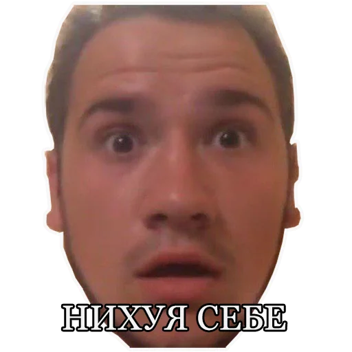 Стикер MCPANINI - 1