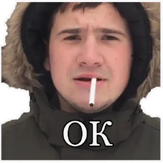 Стикер MC PANINI - 6