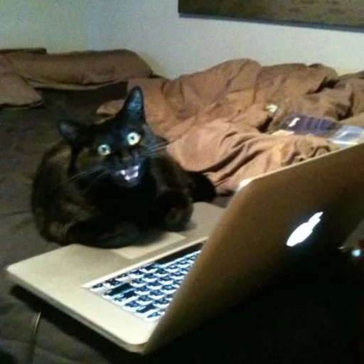 Стикер MD4 @IMG2D - 10