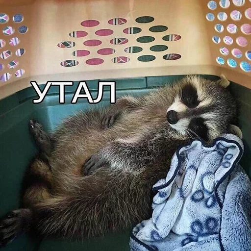 Стикер MD4 @IMG2D - 8