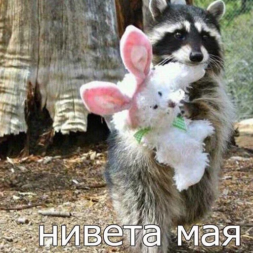 Стикер MD4 @IMG2D - 7