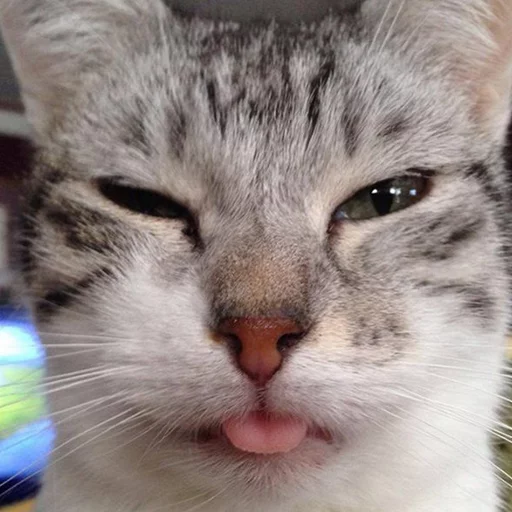 Стикер MD4 @IMG2D - 5