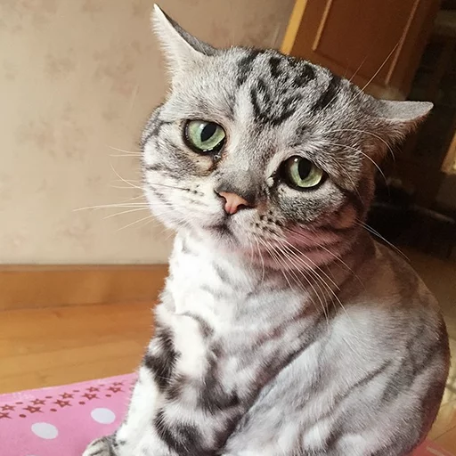 Стикер MD4 @IMG2D - 4