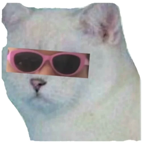 accessory goggles sunglasses