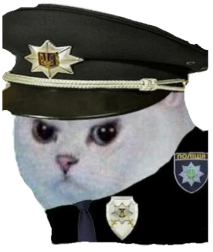 clothing text peaked cap