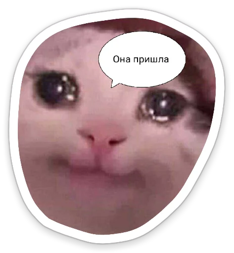 СМС Макросъемка