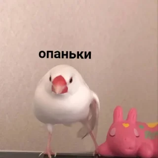 Стикер Мемная скотиночка - 8