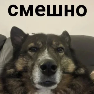 Стикер Мемная скотиночка - 3