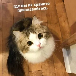 Стикер Мемная скотиночка - 2