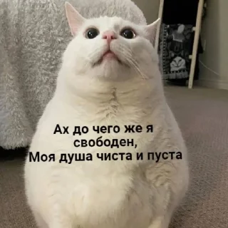 Стикер Мемная скотиночка - 11