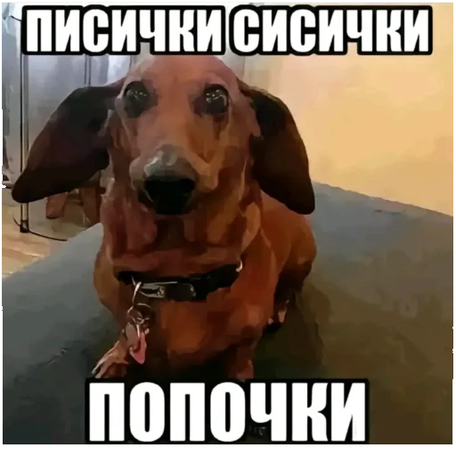 Мемы тиктака - 