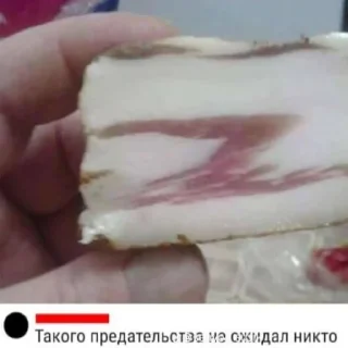 Стикер Мемы тиктака - 7