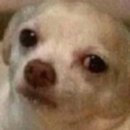 Sticker MEMEofeveryMOOD - 1