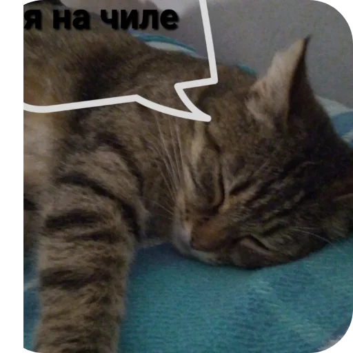 МЕМНЫЫЫЕ мемы - 