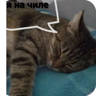 Стикер МЕМНЫЫЫЕ мемы - 1