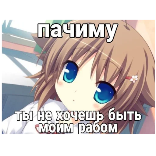 Sticker MEOOOOOO00W - 1