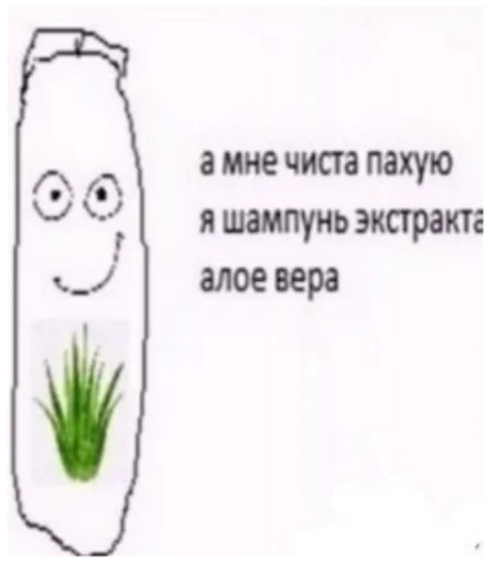 СМС эскиз проектировать