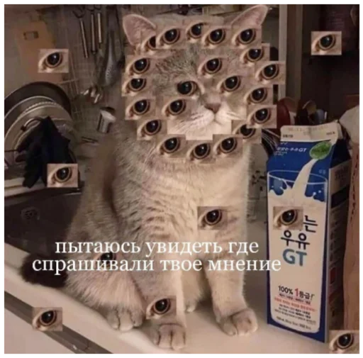 text felidae small to medium-sized cats