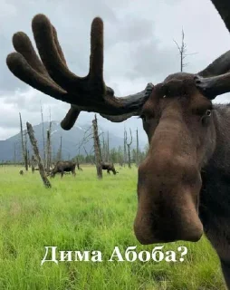 Стикер TGK - Ay Yo etodanyaa69 • @sticbot - 4