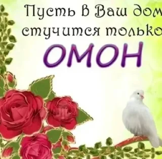 Стикер TGK - Ay Yo etodanyaa69 • @sticbot - 0