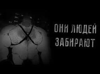 Стикер МГЕ кабачковый лес • @DayStikBot - 3