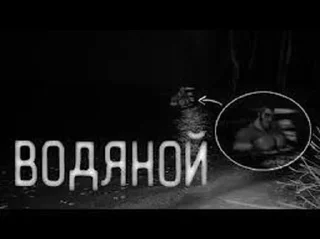 Стикер МГЕ кабачковый лес • @DayStikBot - 6