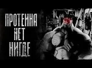 Стикер МГЕ кабачковый лес • @DayStikBot - 9