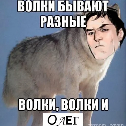 Sticker Мгчд🔥 - 5