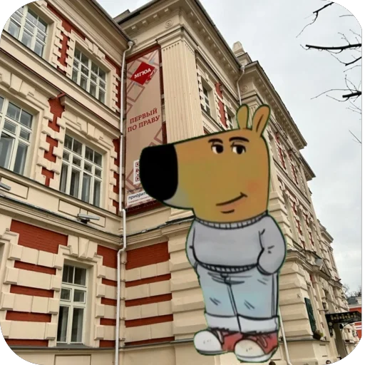 МГЮА лучший вуз - 