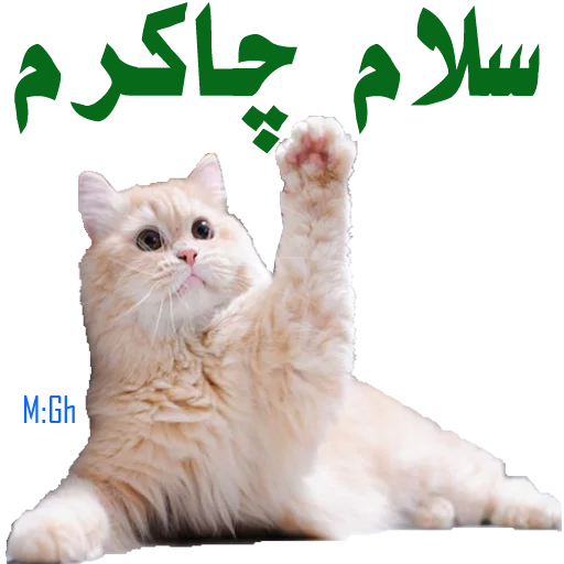 احوالپرسی - 