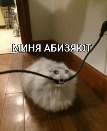 Sticker MIMIMISHKIIIII - 1