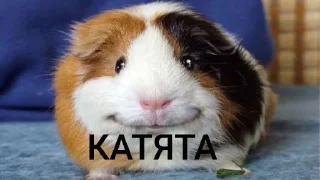 Sticker Каралевский стикирпак - 8