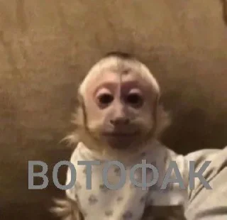 Sticker Каралевский стикирпак - 9