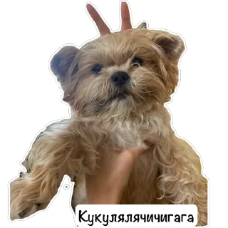 Стикер СтикирЫ - 10