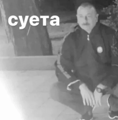 Sticker АЙГА - 10