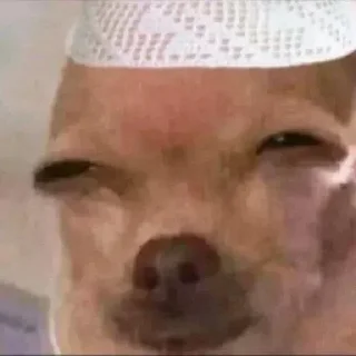 Стикер @MJEED_24's_2 - 9