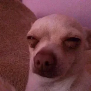 Стикер @MJEED_24's_2 - 10