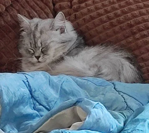 Sticker MJzJaXM_by_sticbot - 1