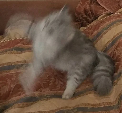 Sticker MJzJaXM_by_sticbot - 1