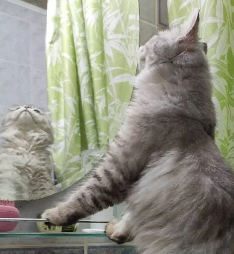 Sticker MJzJaXM_by_sticbot - 1