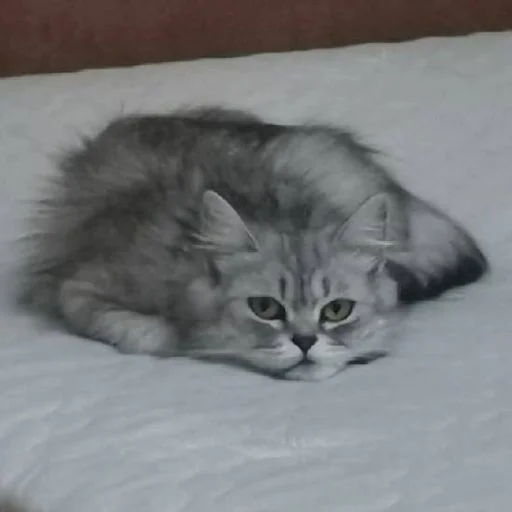 Sticker MJzJaXM_by_sticbot - 1