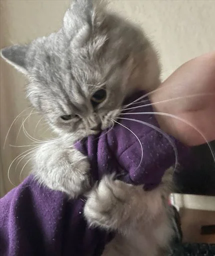 Sticker MJzJaXM_by_sticbot - 1