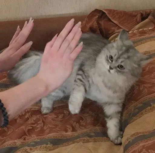 Sticker MJzJaXM_by_sticbot - 1