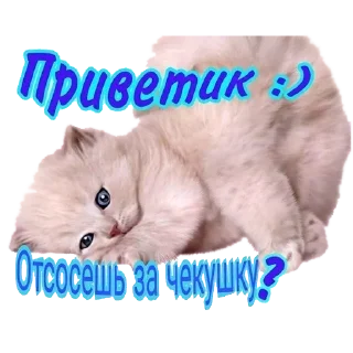 Sticker Больше стиков тут: @stikery4 - 7
