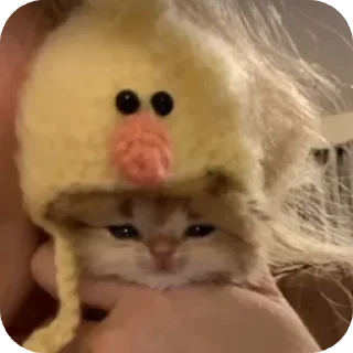 Sticker Больше стиков тут: @stikery4 - 3