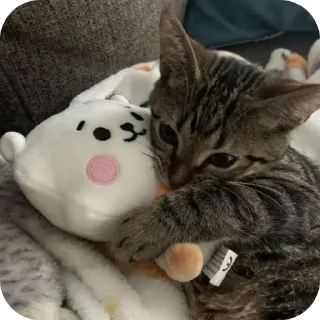 Sticker Больше стиков тут: @stikery4 - 7