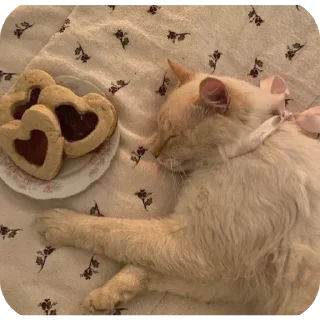 Sticker Больше стиков тут: @stikery4 - 1