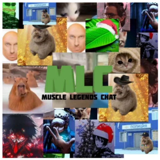 MLC - 